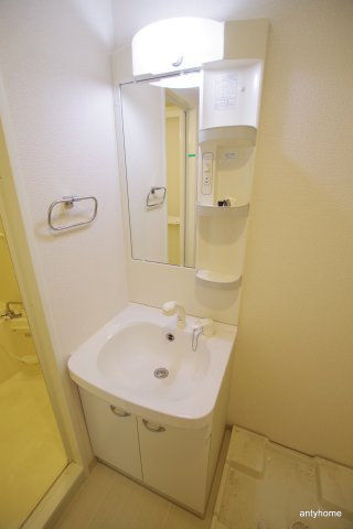 レジュールアッシュ梅田リュクス　仲介手数料無料の洗面所