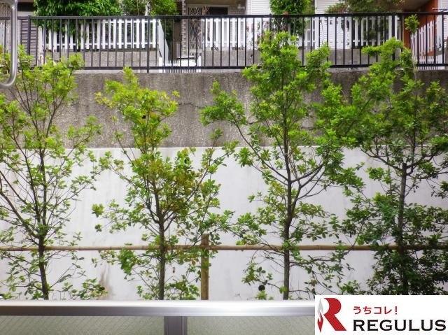 ポアール市川の展望