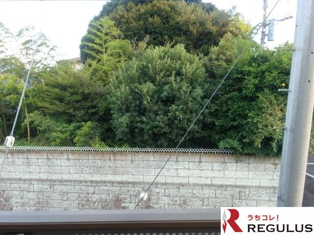 デルニエIIの展望