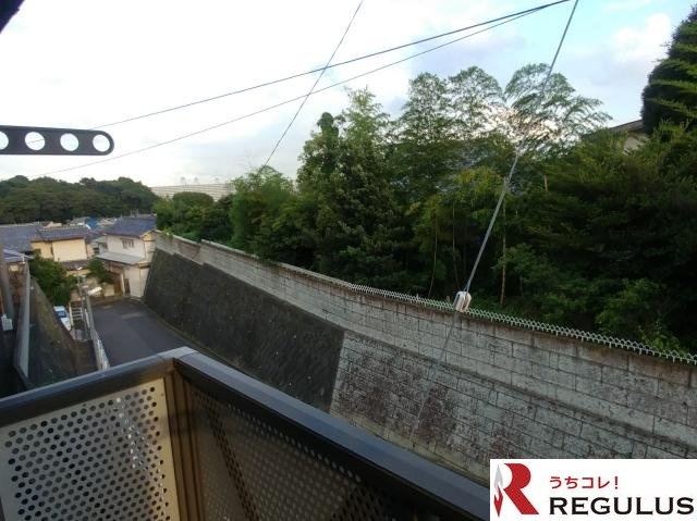 デルニエIIの展望