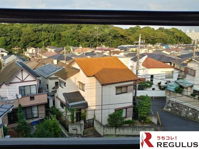 デルニエIIIの展望