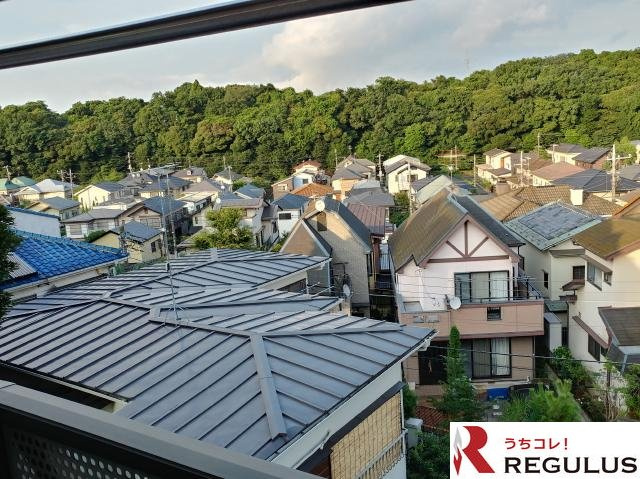 デルニエIIIの展望