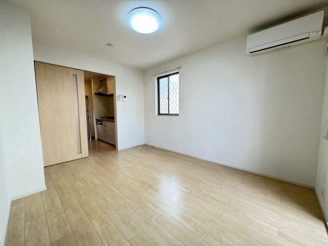 レニューテリアのその他