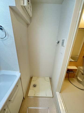 レニューテリアのその他