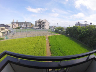 【展望】