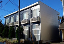 フォレットの画像