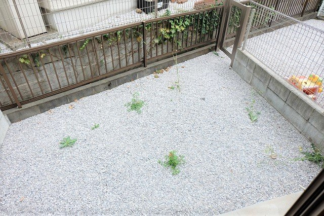 Malina haleの庭