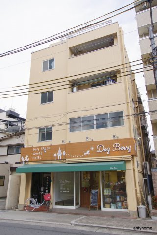 カラキマンション　仲介手数料無料