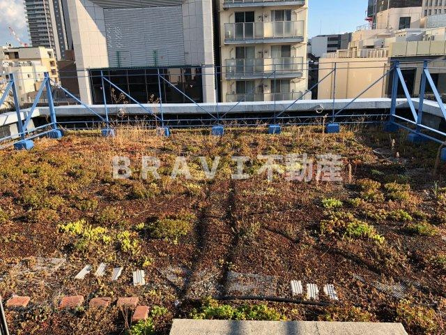 アプリコ　BRAVI不動産のその他|【アプリコ】屋上