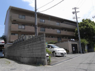 グレース深野の画像