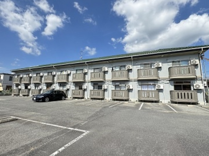 ヤングユーカリ