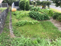 森町円田 売土地 畑の画像