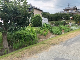 【外観】 | 森町円田 売土地 畑