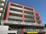 ブーゲンビリアの画像