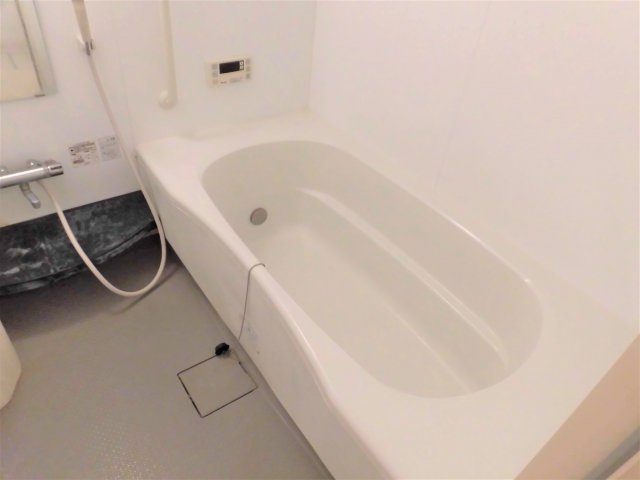 ラフィーネ・DuOの浴室