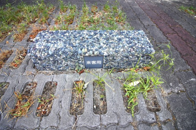 【駐車場】 | パデシオン京八幡