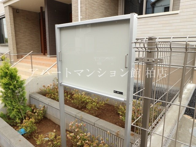 プリムローズの周辺