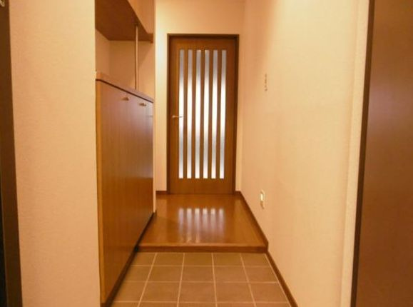 千代田区神田三崎町２丁目の賃貸マンションの玄関