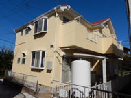 サングリーンの画像