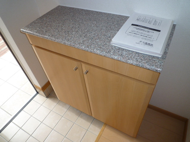 フェリーチェルーナの内装|シューズボックス