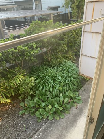 【庭】 | アミューズ磯子壱番館