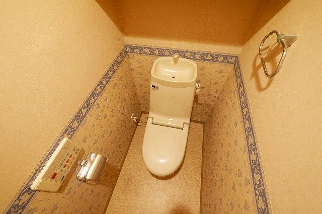 セレナハイム新大宮セントラルステージのトイレ|落ち着いた色調のトイレです