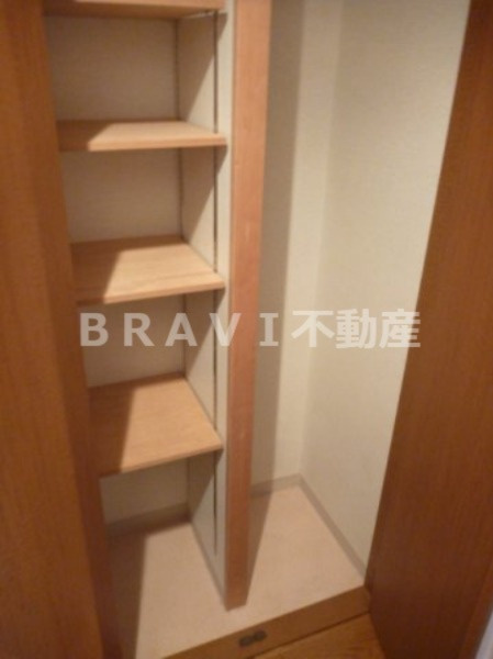 セントアミール南久宝寺　BRAVI不動産の収納|【セントアミール南久宝寺】小物を収納するのに便利です