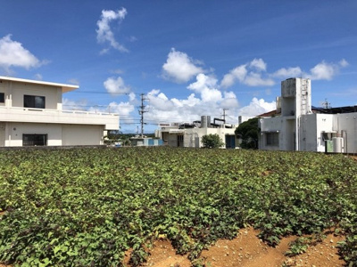  | 読谷村字座喜味（311.57坪）