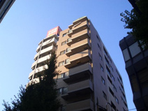 ルポン・ヴェールの画像