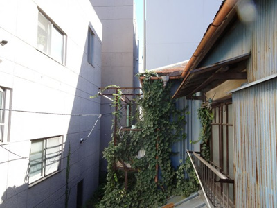 【展望】 | 岡田貸家 | 岡田貸家　ベランダからの眺望