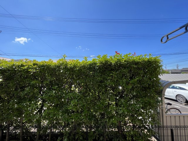 セジュールあいりすAの展望|眺望