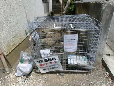 【その他共用部分】 | ビラグリーン | 敷地内ごみ置き場でごみ出しもらくらく～♪忙しい社会人さんや学生さんにもうってつけ！