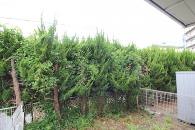 【展望】 | ハウス葭