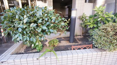 【周辺】 | アヴェニュー流町