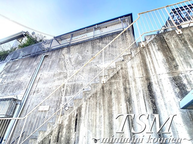 ゼフィランサスの外観