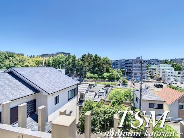 ゼフィランサスの展望