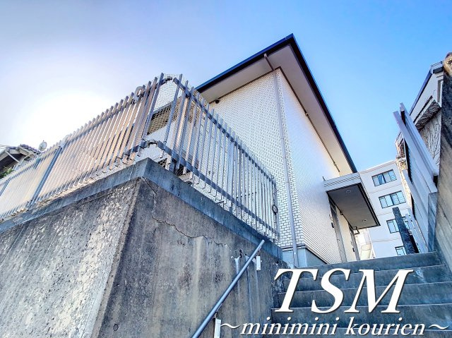 ゼフィランサスの外観