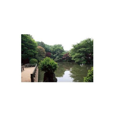 【周辺】 | HF学芸大学レジデンス