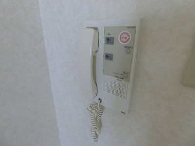 【セキュリティ】 | ティアラ・サガン