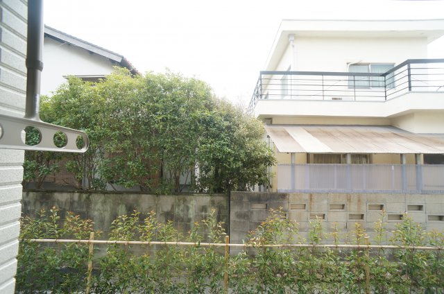 エルピーダの展望