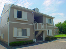 ベルテ伊藤の画像