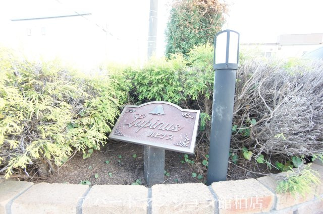 ルピナスのエントランス