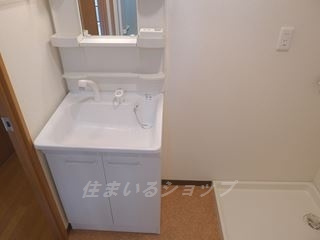 広島市安佐北区深川５丁目の賃貸マンションの洗面所|シャンプードレッサー
