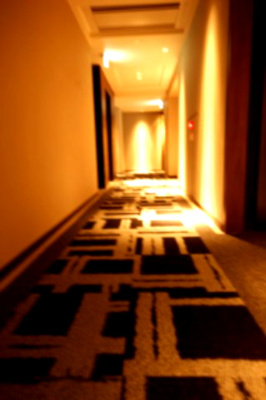 【その他共用部分】 | グランドメゾン大濠サウスサイドレジデンス 202 | うち廊下です。