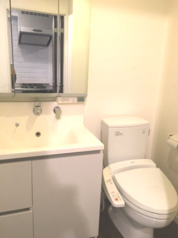 ルネッサンス21赤坂けやき通りのトイレ|ルネッサンス21赤坂けやき通り(1R）