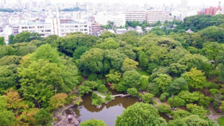 【展望】