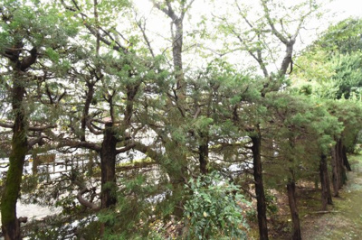 【展望】 | マンション久が原 | 1階部分からの眺望♪