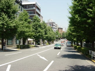 【周辺】 | 原宿駅から一本道
