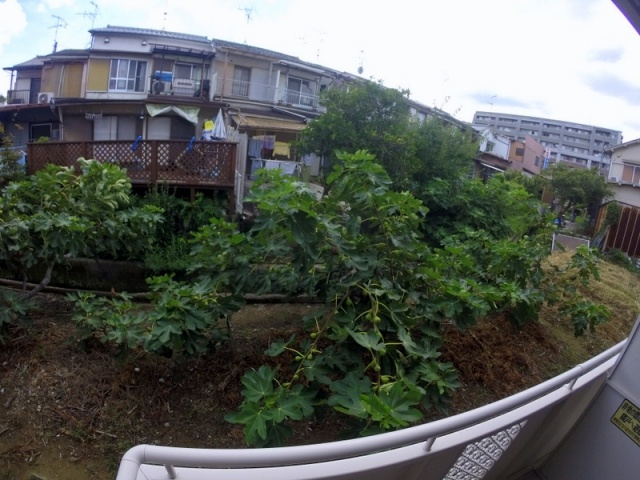 【展望】 | ツインステージ川西