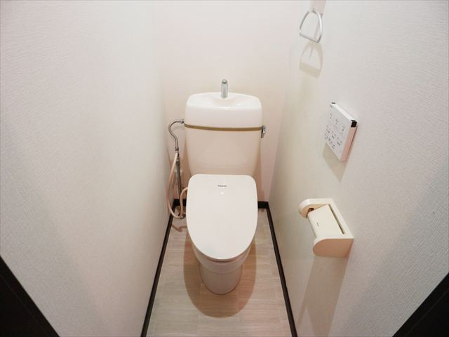 相原借家（176-55）のトイレ|納戸